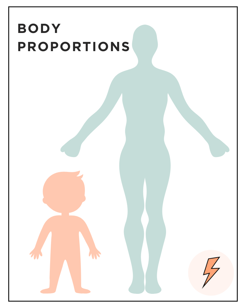 Infographic comparing baby and adult body proportions for knitting design