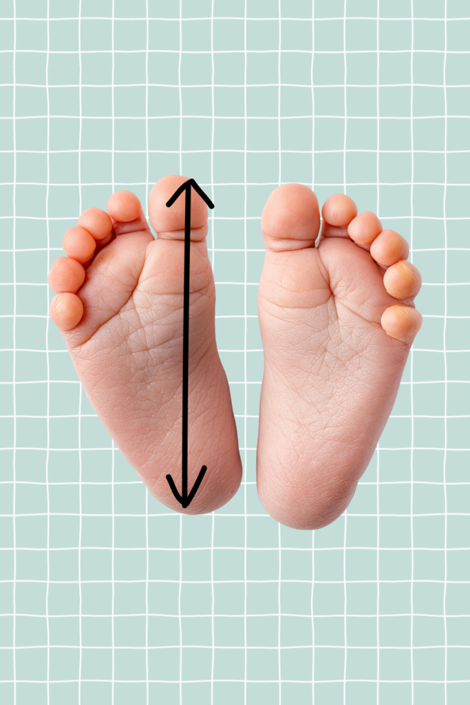Baby & Children's Knitting Size Guide: Measurements 6 knitting for babies and children how to measure feet for socks and booties jane burns